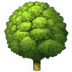 :deciduous_tree: :deciduous_tree: