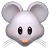 :mouse: :mouse:
